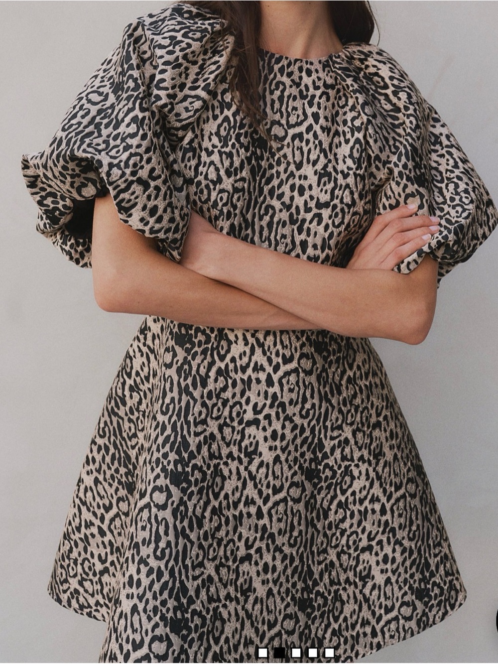 Jacquard Leopard Print Puff-Sleeve Mini Dress in Beige and Black